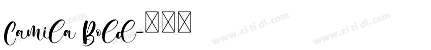 Camila Bold字体转换